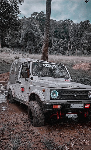 ESPN：阿森纳曾考虑引进过伊萨克，但其伤病史令前者担忧